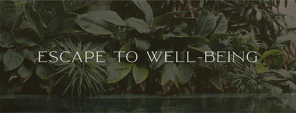 Tulum Wellness Spa