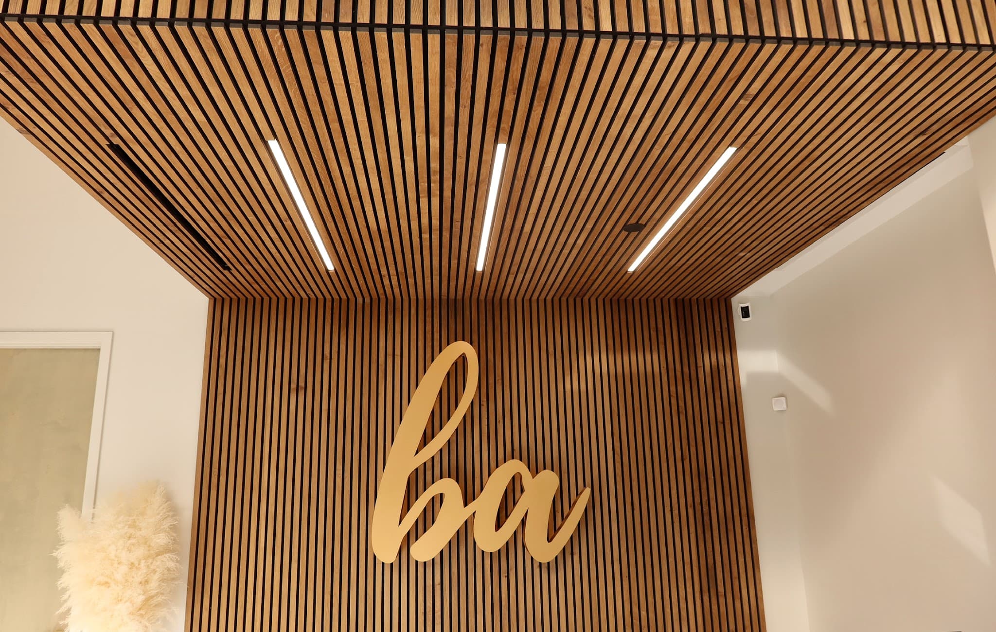 Balanced Aesthetics + Wellness